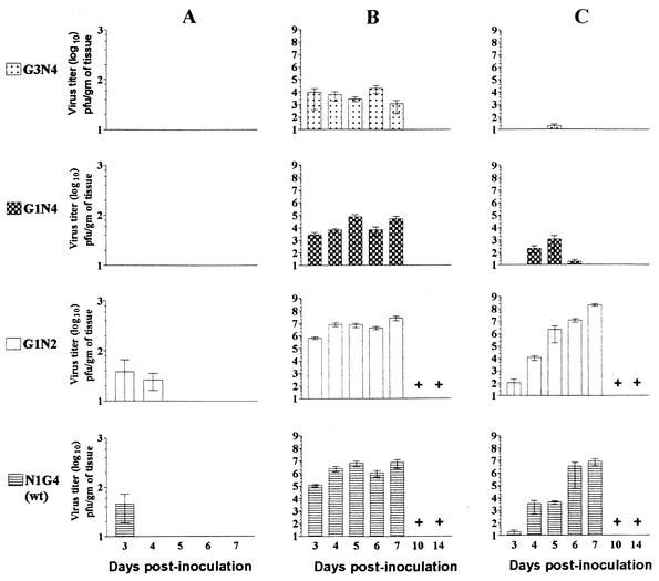 FIG. 2.