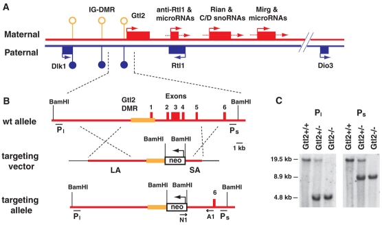 Fig. 1.