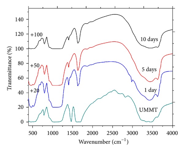 Figure 12