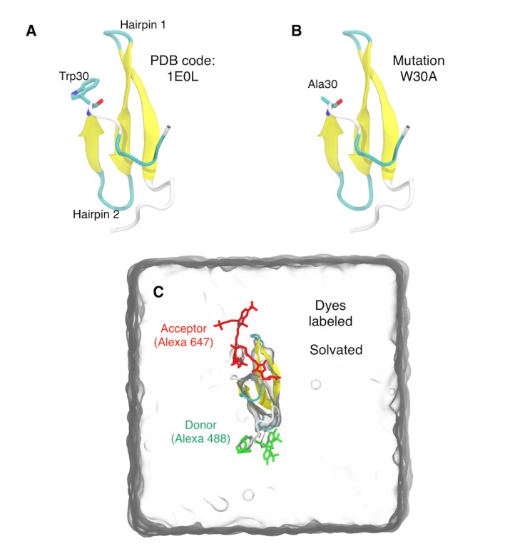 Figure 1—figure supplement 1.