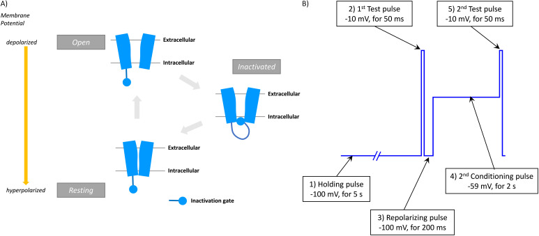 Fig. 2