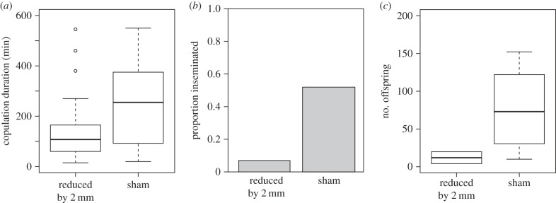 Figure 3.