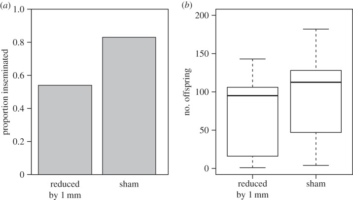 Figure 4.