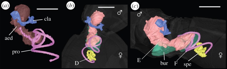 Figure 1.