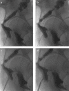 Figure 1. a–d.