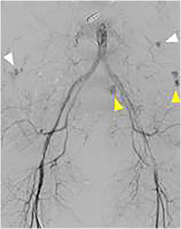 Figure 5