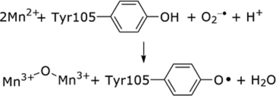 REACTION 3