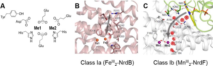 FIGURE 1.