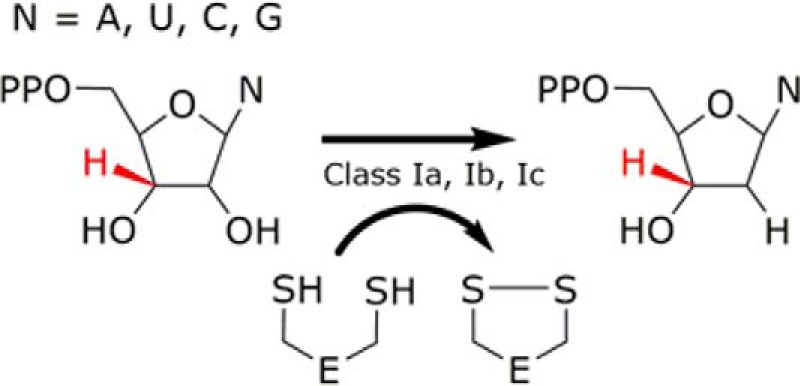 REACTION 1