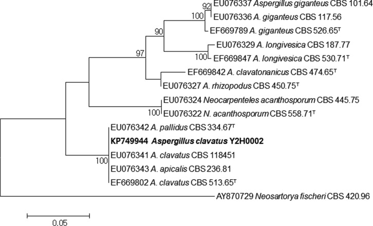 Fig. 2