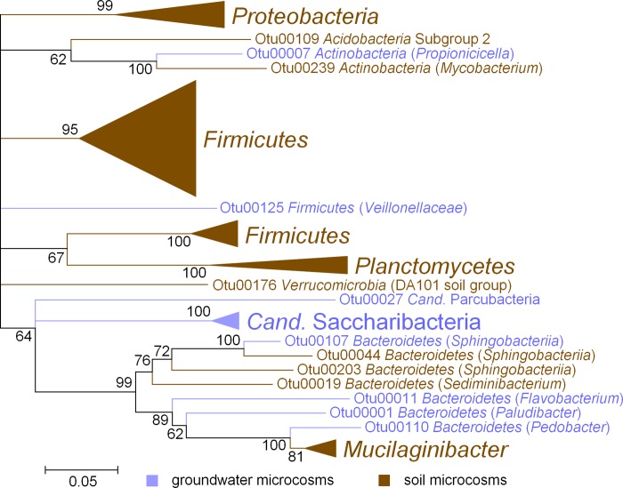 Fig 5