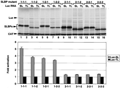 FIG. 5.