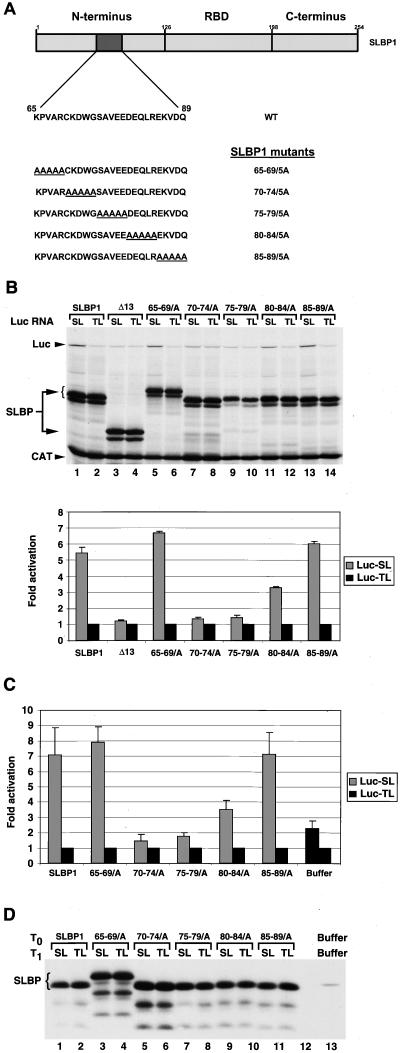 FIG. 8.