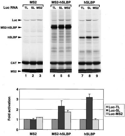 FIG. 9.