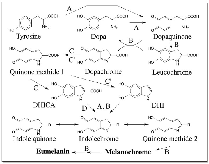 Figure 27