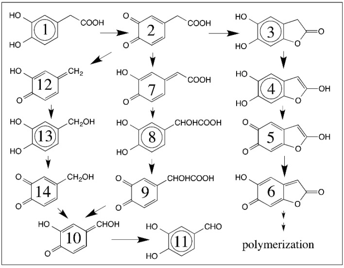 Figure 14