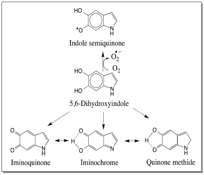 Figure 21