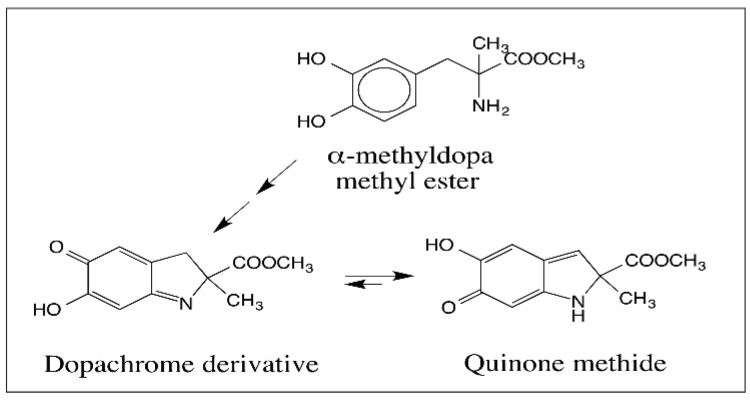 Figure 17