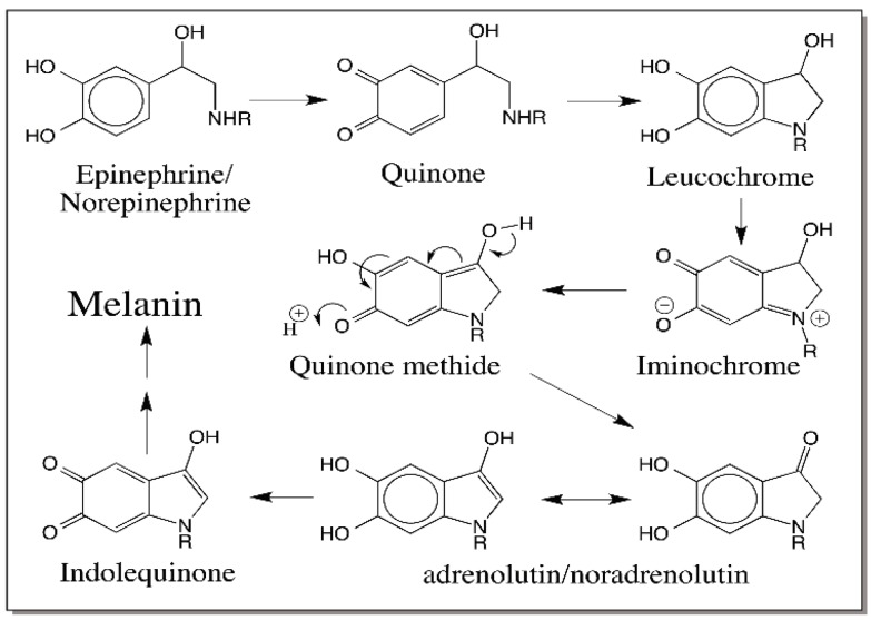 Figure 20