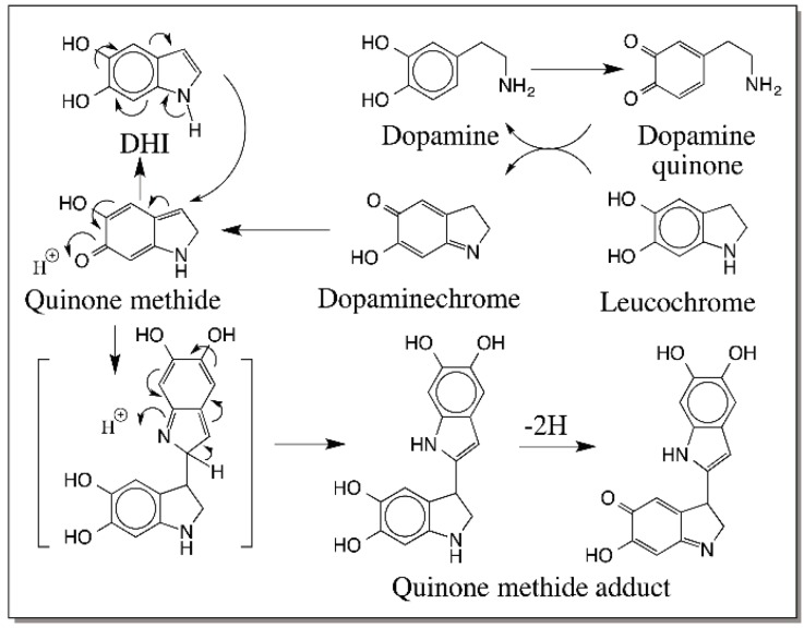 Figure 19