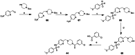 Scheme 7