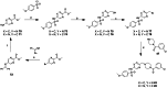 Scheme 8