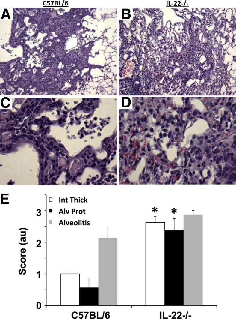 Figure 5