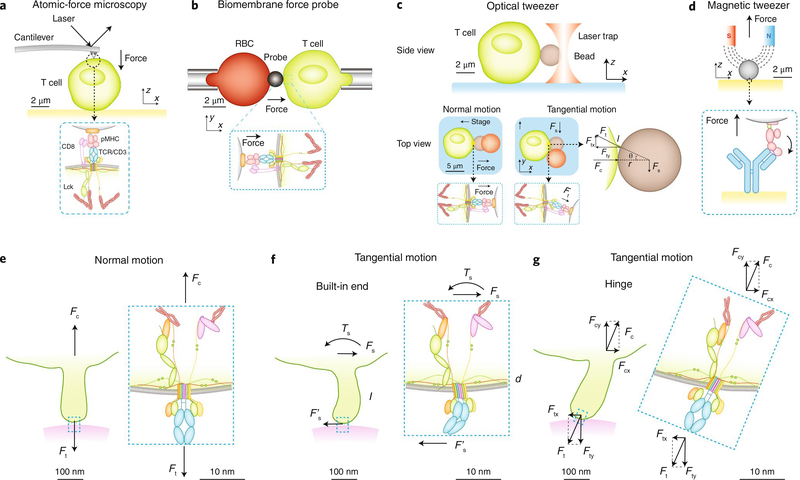 Fig. 2 |