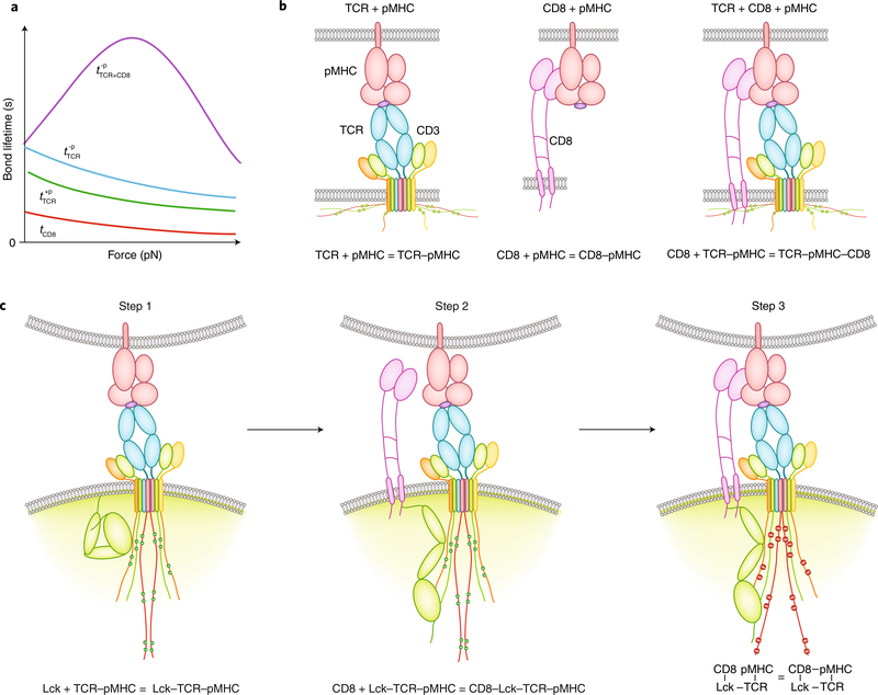 Fig. 4 |