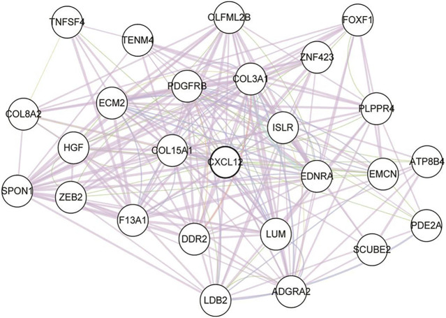 FIGURE 3