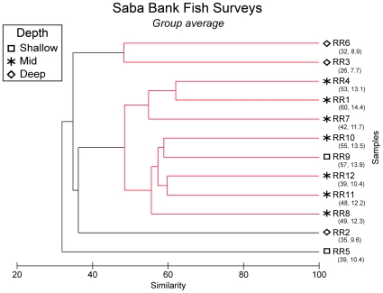 Figure 202