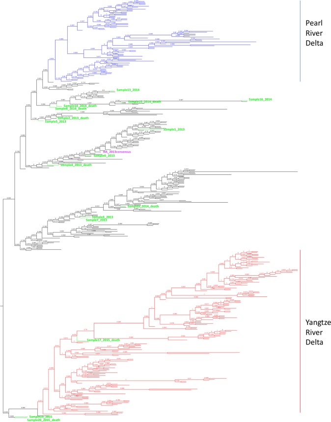 FIG 2