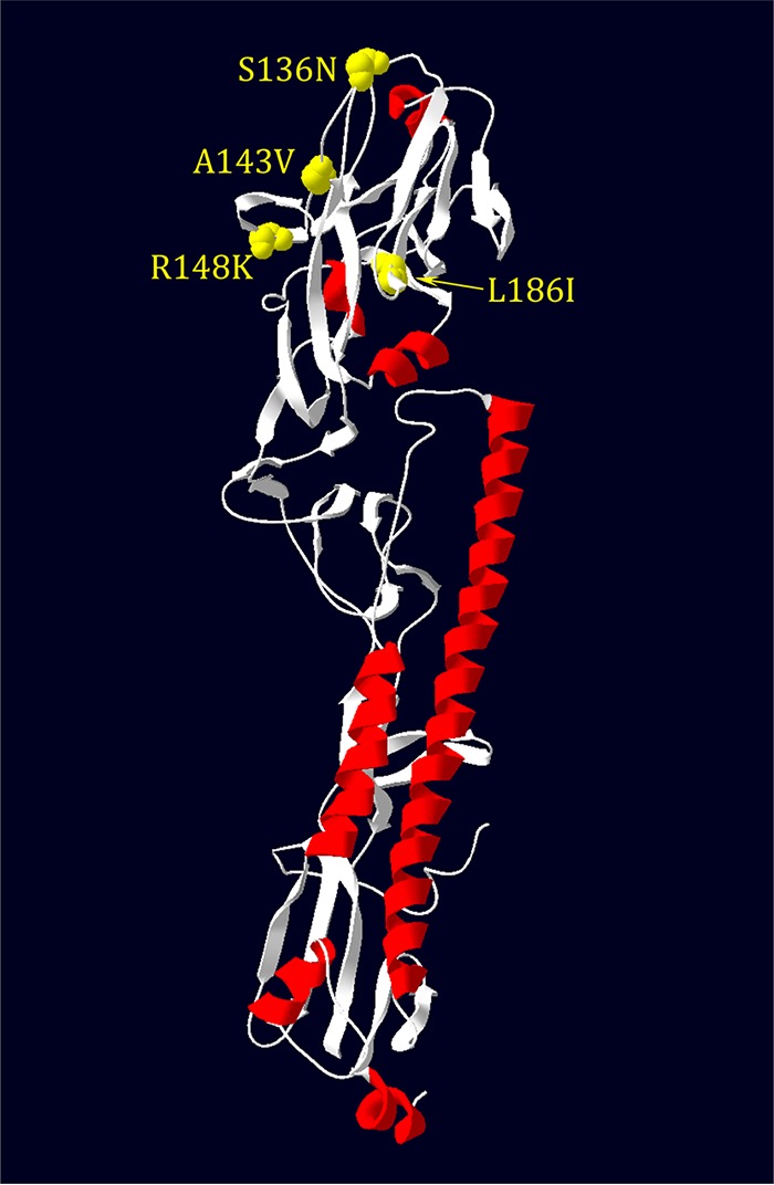 FIG 3