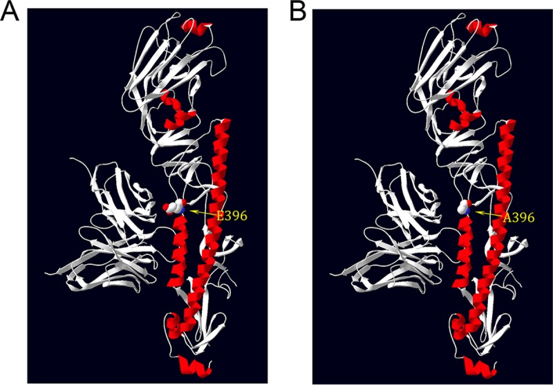 FIG 4