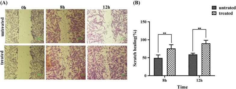 Fig. 8