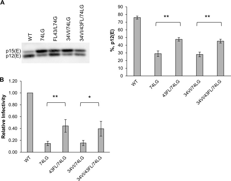 FIG 6