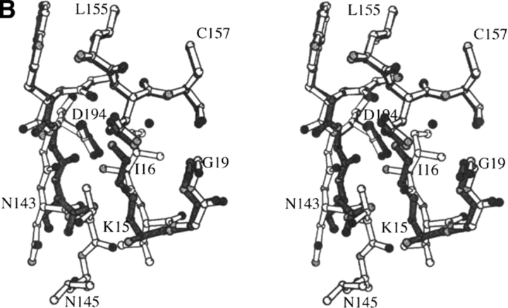 Fig. 9.