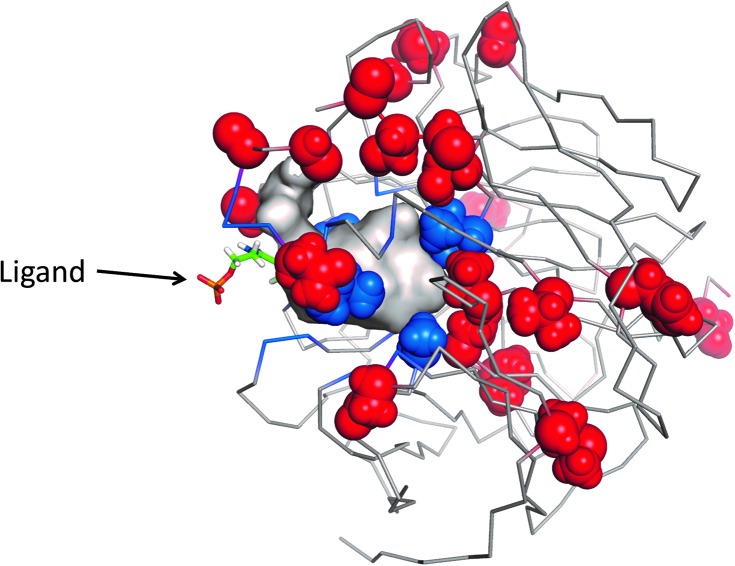 Fig. 17