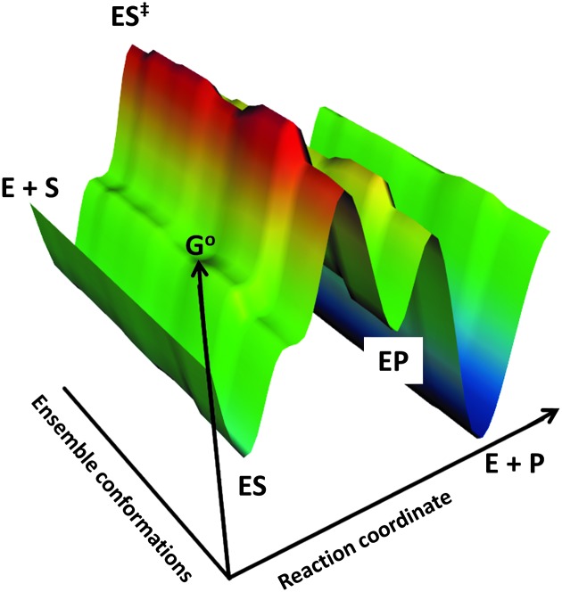 Fig. 16