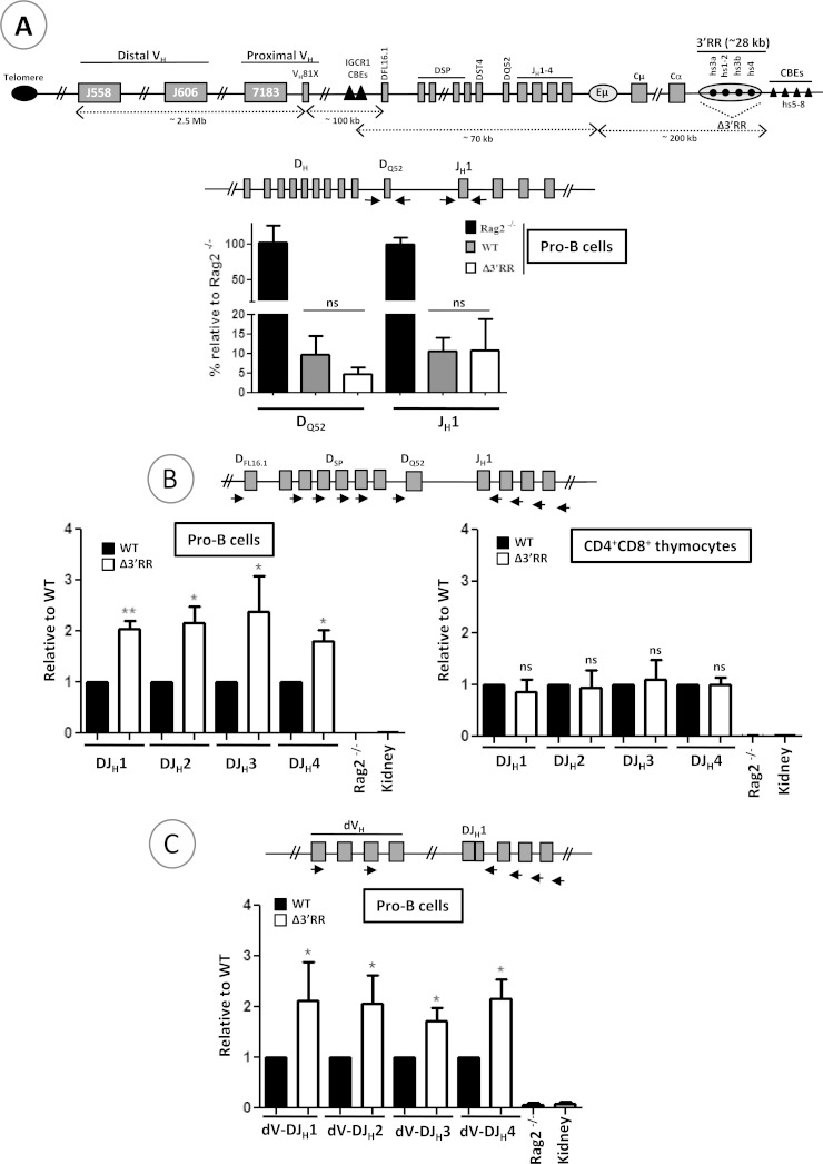 FIG 1