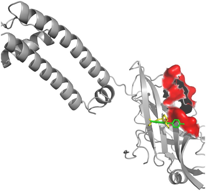 Figure 5