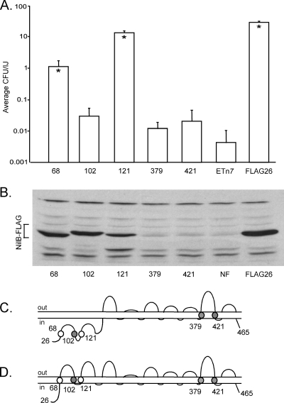 Fig 4