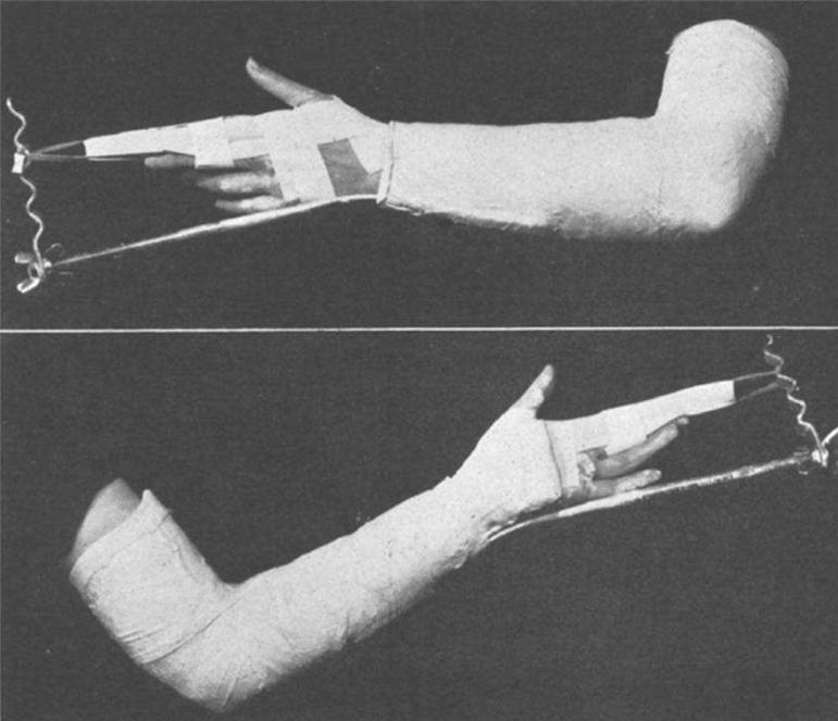Fig. 5