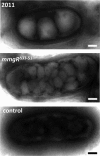 FIG 5
