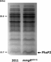 FIG 6