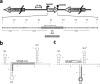 FIG 1