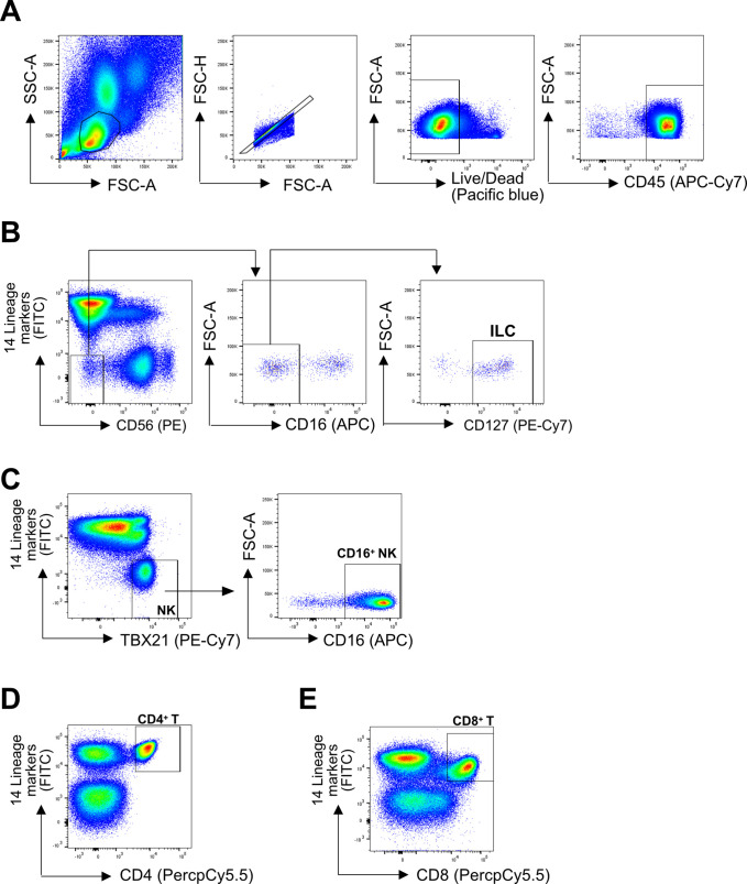 Figure 2—figure supplement 1.