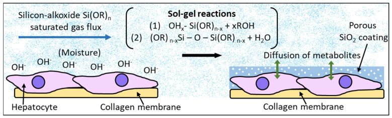 Figure 18