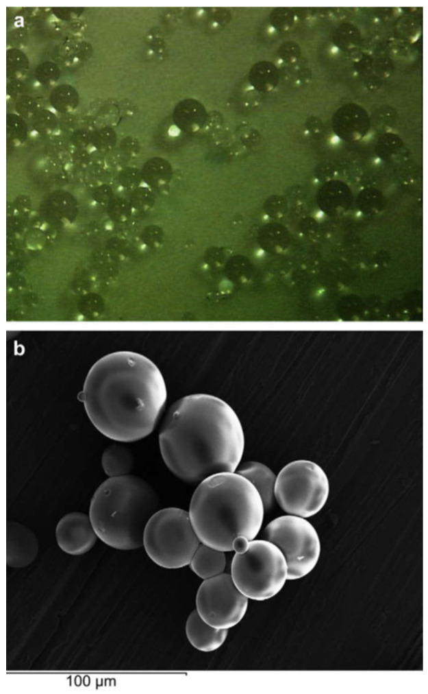 Figure 15