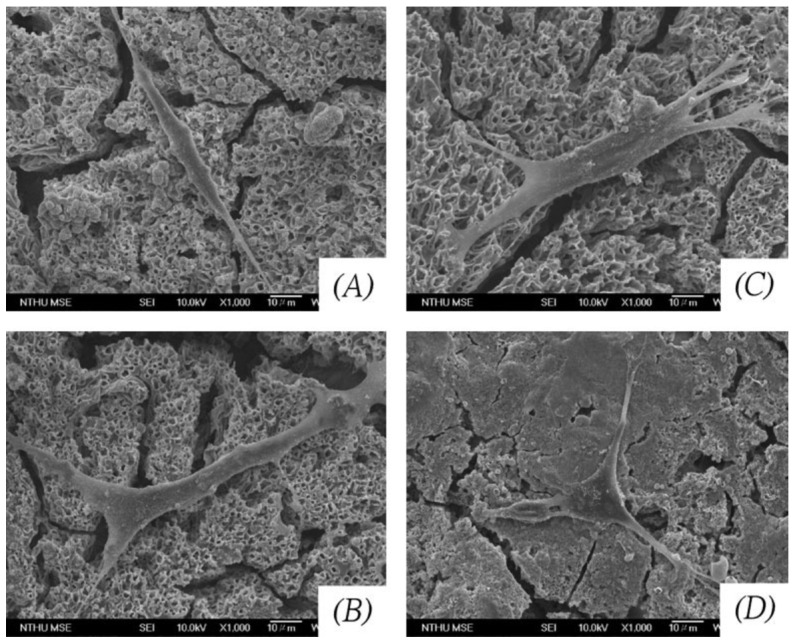 Figure 12